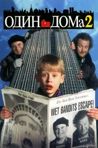 Один дома 2